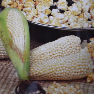 Popcorn