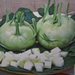 Kohlrabi Lanro