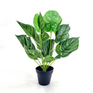 Calathea Orbifolia Kunstpflanze 50-60 cm