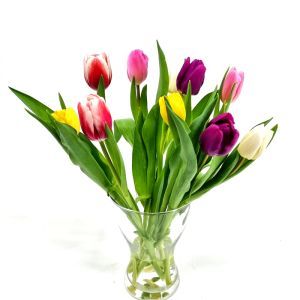 Blumenstrauß Tulpe Mix