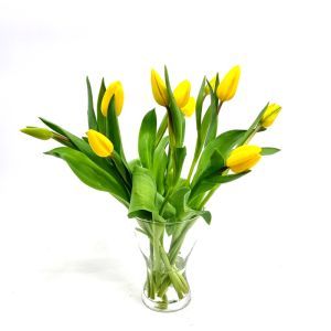 Blumenstrauß  Tulpe Gelb