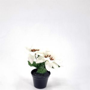 Kunststof kerstroos Wit 7 cm pot