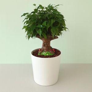 Sprookjesboom 14 cm Studio