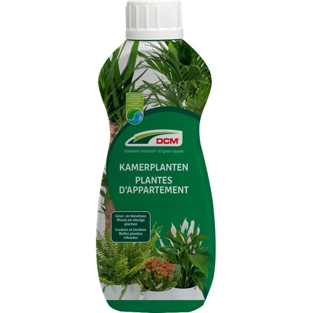 Dnger Zimmerpflanze gnstig kaufen - Meingartenshop.de